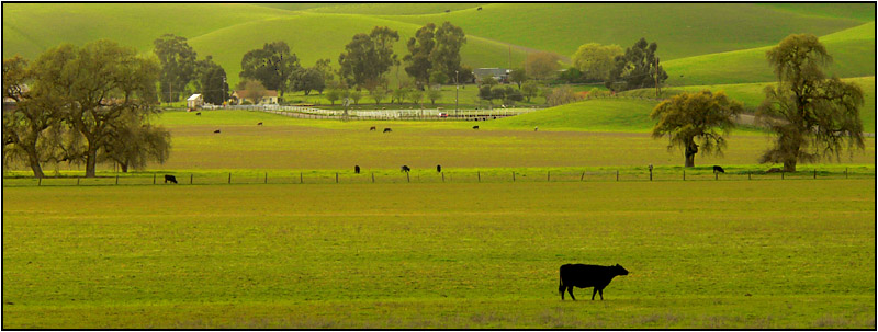 North Livermore Valley