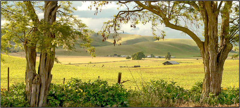North Livermore Valley