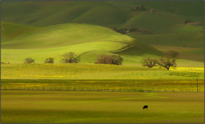 North Livermore Valley