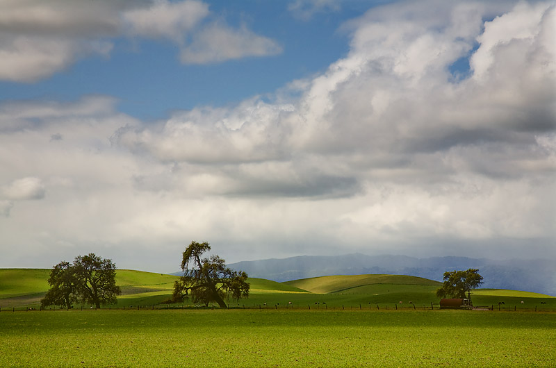 North Livermore Valley