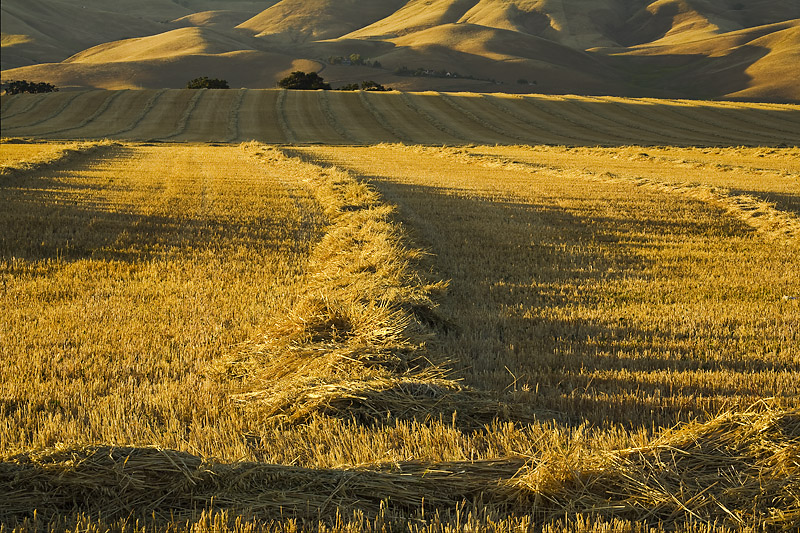North Livermore Valley